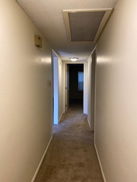 Building Photo - Spacious 2 Bed 1.5 Bath Available Now!