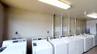 This single-floor laundry facility is designed for shared use, offering a practical and straightforward layout centered around functionality. The room houses a row of top-loading washing machines positioned along one wall, providing ample capacity for multiple users. Each machine is a standard commercial-grade unit, and posted instruction sheets are mounted on the wall nearby, offering guidance on proper usage.

Overhead fluorescent lighting illuminates the space evenly, ensuring good visibility throughout. A series of metal ventilation columns rise from the machines to the ceiling, serving as exhaust ducts that help manage moisture and maintain air quality within the room. The walls are finished in a neutral tone, and the overall aesthetic is utilitarian, prioritizing ease of use over decorative detail.

An electrical outlet is visible along the wall, adding a degree of convenience for users. The flooring and wall surfaces appear durable and easy to maintain, suited to the demands of a high-use communal space. Overall, the facility provides a no-frills, serviceable environment well-suited for shared residential or commercial laundry needs.