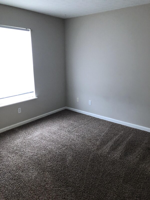 Foto del edificio - 4103 Blue Lick Ct