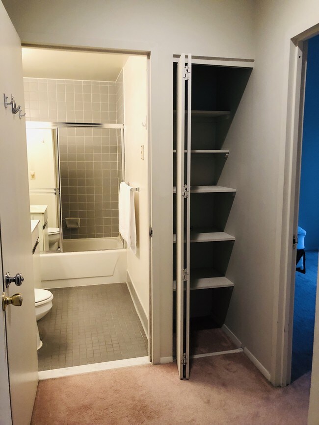 Master bath and linen closet - 111 Mulberry St