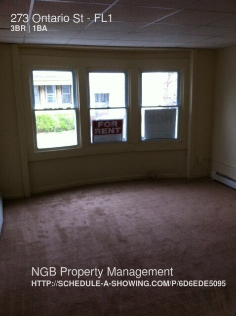 Building Photo - 273 Ontario St