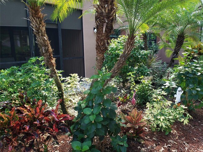 Building Photo - 2/2 Oaks Forest Condo