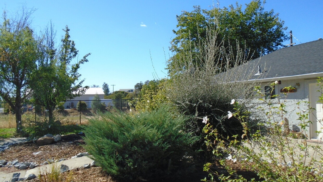 Building Photo - 4 Bedroom in Ravenwood Subdivision