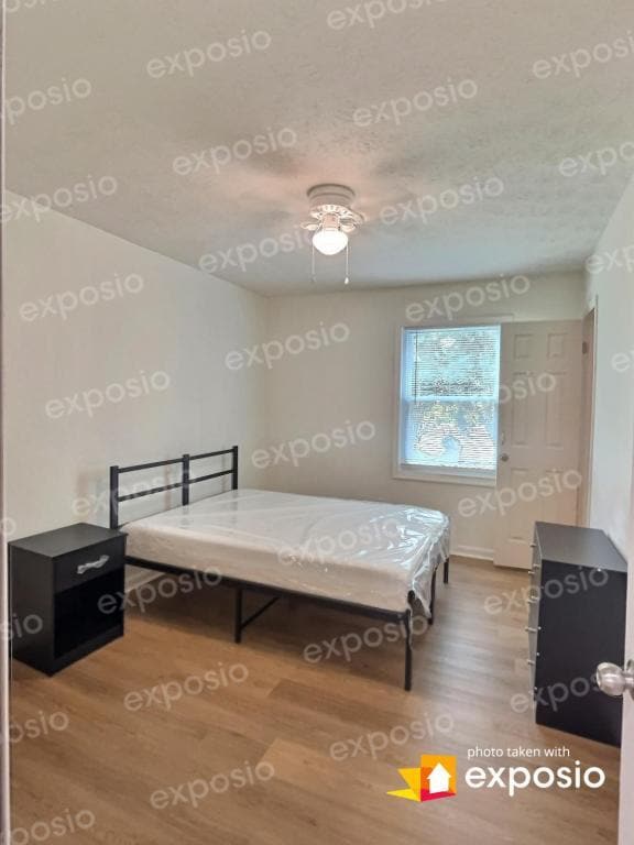 Building Photo - 7363 Ovis Ct