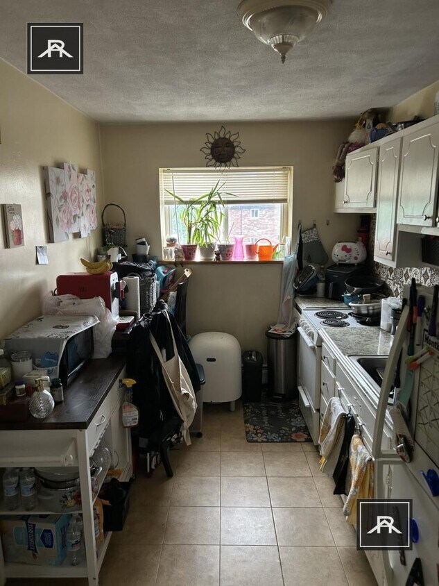 Foto principal - 1 bedroom in Newton MA 02459