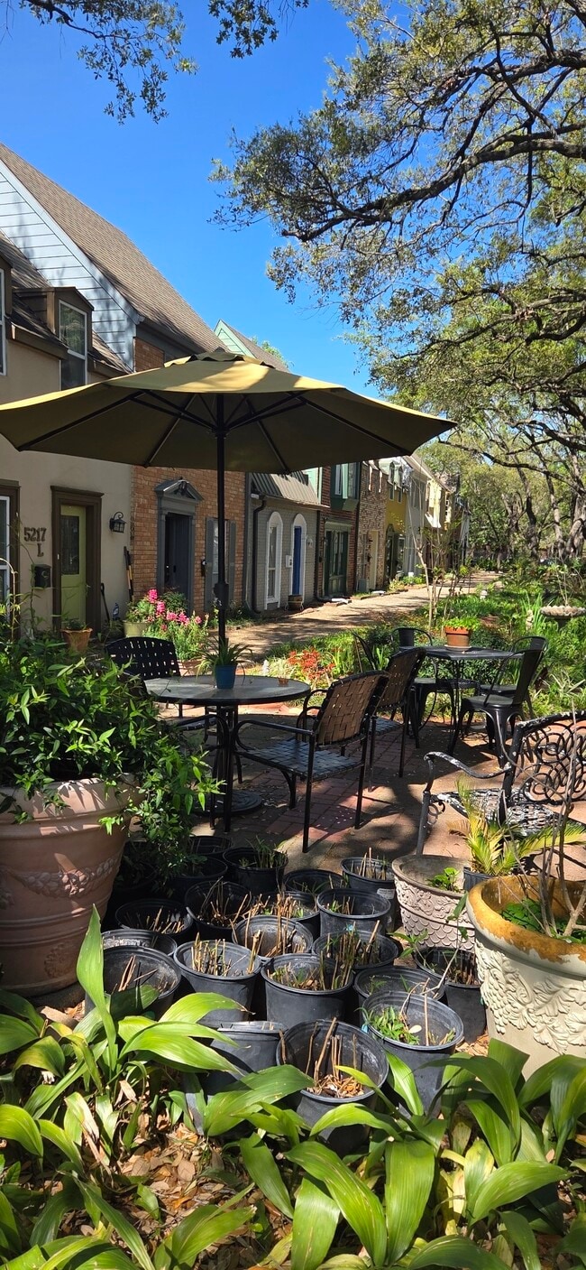 Building Photo - 5217 Arboles Dr