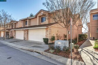 Building Photo - 4392 Conejo Dr