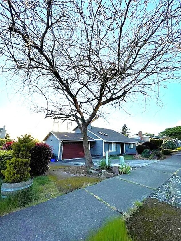 Primary Photo - Beautiful 3bed/2bath home on N. Juniper St.