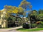 Foto principal - 1850 Homewood Blvd