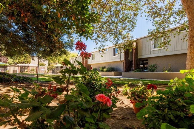 Building Photo - Castilian Apartments