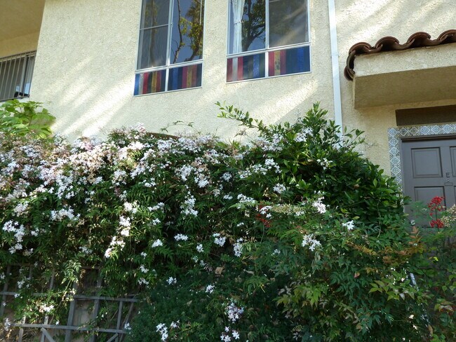 Foto del edificio - 2020 Idaho Ave