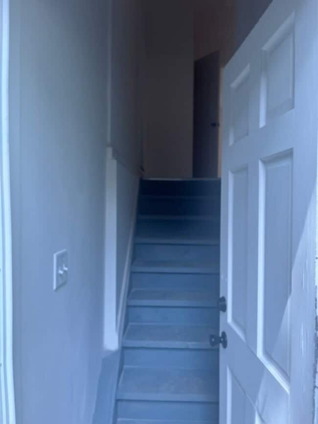 Photo - 537 South 4th Street Apartment