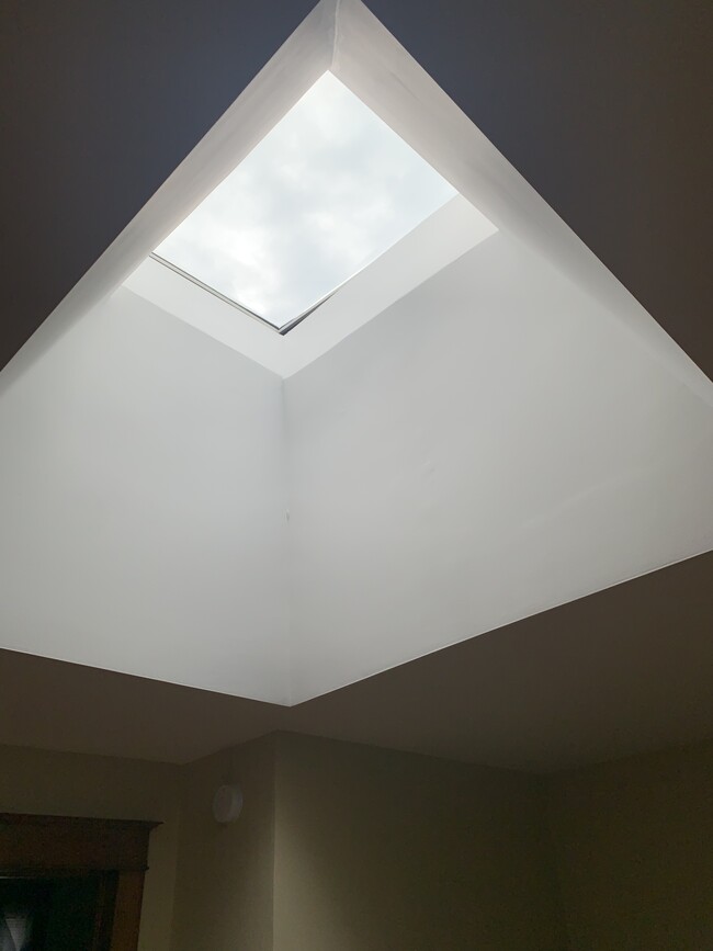 Skylight - 409 E Cherry St