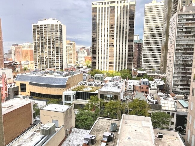 Building Photo - 100 E Walton Pl