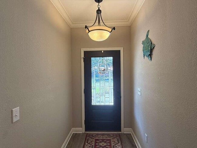 Foto del edificio - 703 Nutmeg Ave