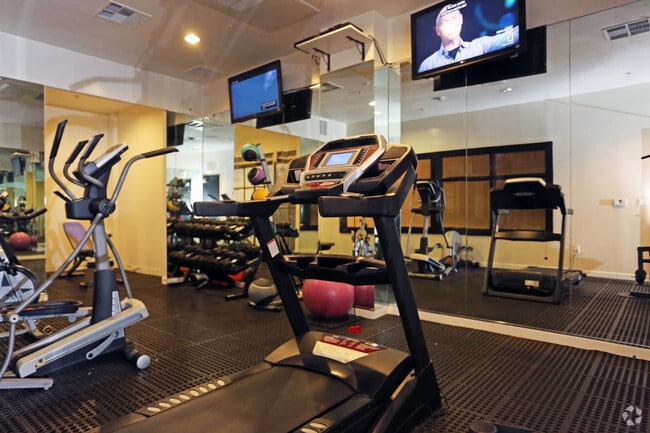 Sala de entrenamiento cardio - Blackstone Apartments