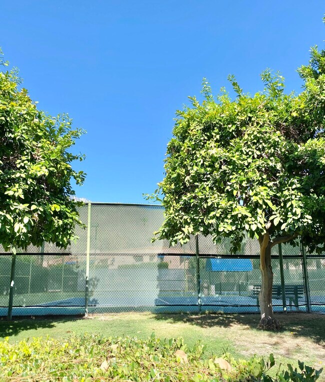 Building Photo - 500 E Amado Rd