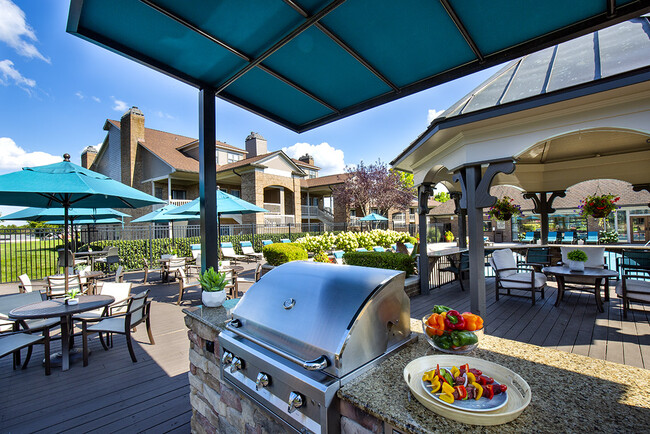 Outdoor grill and chef's kitchen - Willow Lake Apartments