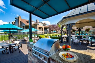 Outdoor grill and chef's kitchen - Willow Lake Apartments