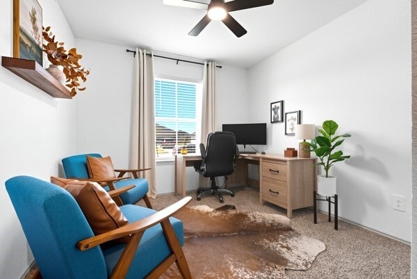 Building Photo - 1137 Buffalograss Trl