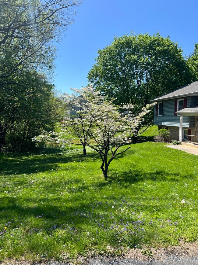 Building Photo - Spacious & Stylish 3-Bedroom 1.5 Bath Hous...