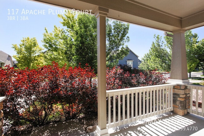 Foto del edificio - 117 Apache Plume Ct