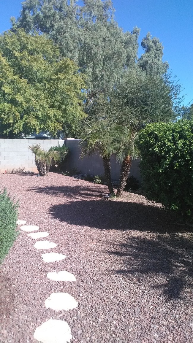 Patio trasero - 1671 N Garrett Dr