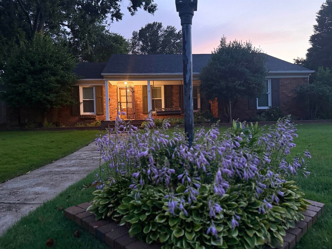 Primary Photo - 239 N Yates Rd