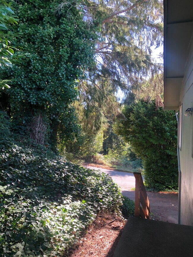 Building Photo - 609 Crestview Dr