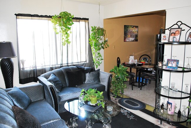 Foto del diseño de interior - 607 W Century Blvd