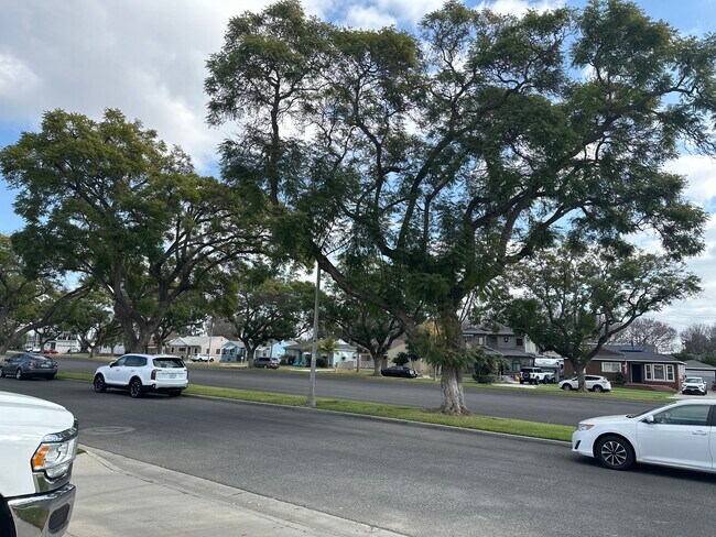 Vista desde la casa. Hay mucho espacio para estacionar y poco tráfico porque es una calle sin salida. - 4223 Los Coyotes Diagonal