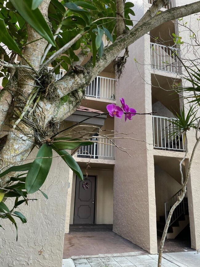 Foto del edificio - 9431 Live Oak Pl