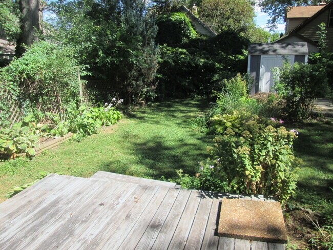Rear garden area of 1st floor condo. - 503 N Sherman Ave