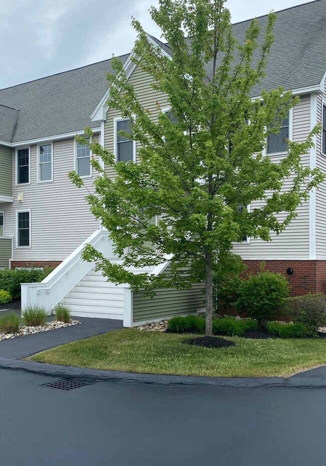 Heron Cove - 6 Cormorant Pl