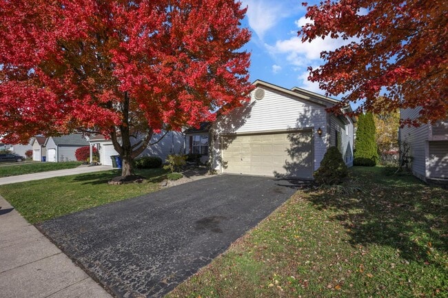 Building Photo - 950 Robmeyer Dr