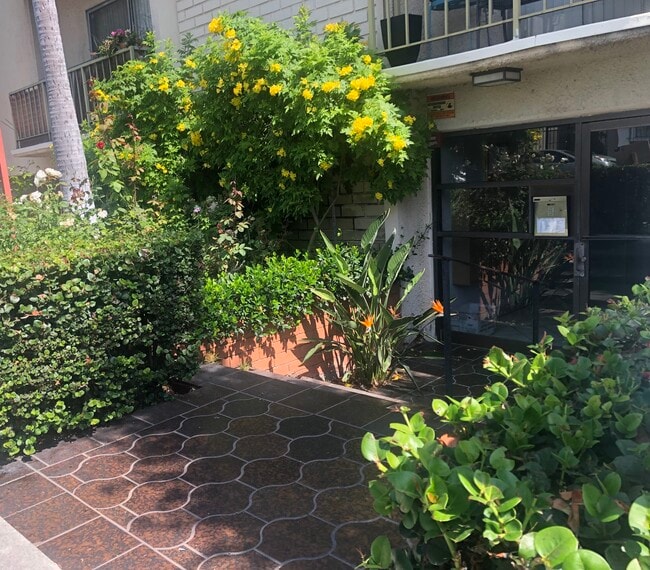 Building Photo - 514 S Gramercy Pl