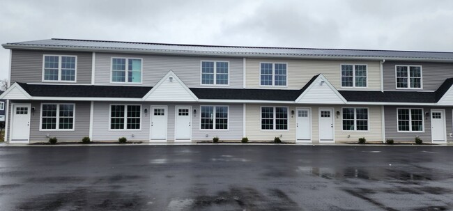 Brand new 2 bedroom 2 1/2 bath luxury apartments - 363 Delaware St