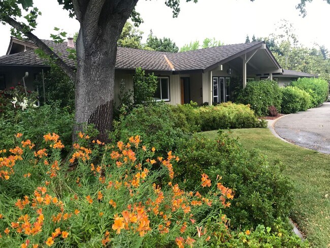 Foto del edificio - Spectacular 4 Bd/3 Ba, 2379 sf (plus separate structure ideal for office), single-family house in...