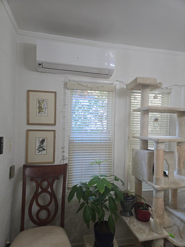 Window in the dining room - 430 S Oakhurst Dr