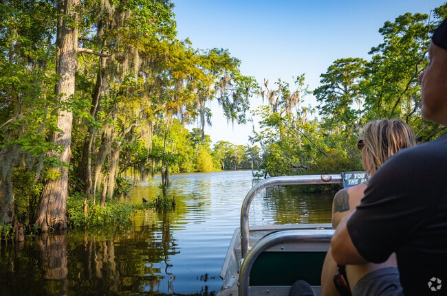 Enjoy a swamp tour around the Barataria Preserve near Marrero.