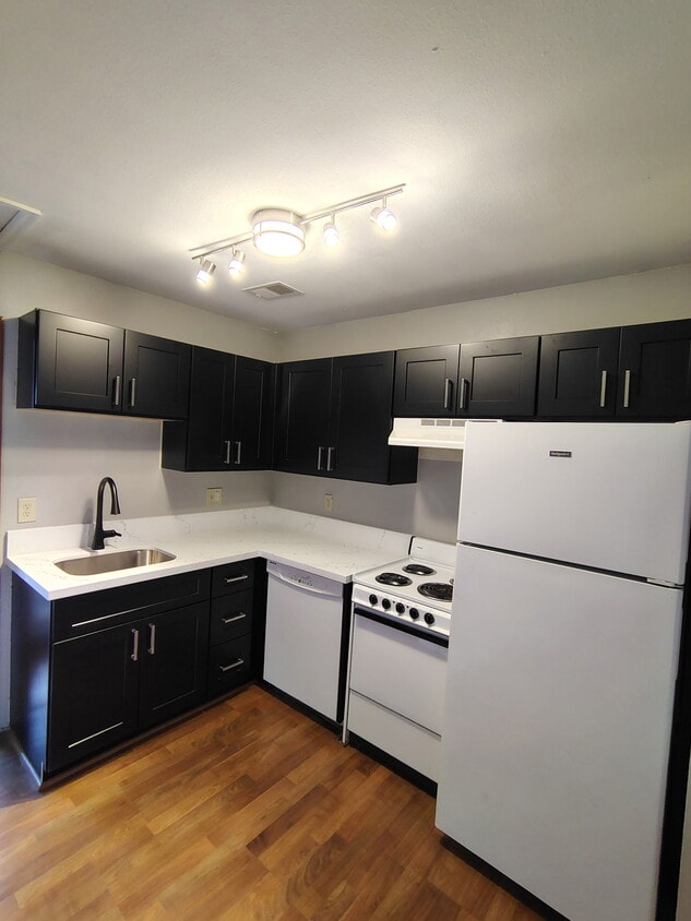 New Kitchen cabinets and quartz countertops - 2012 Spruce St