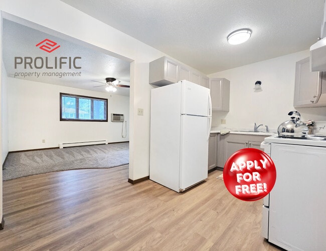 Remodeled 2-Bed, Available Sept - 503 15th St SE