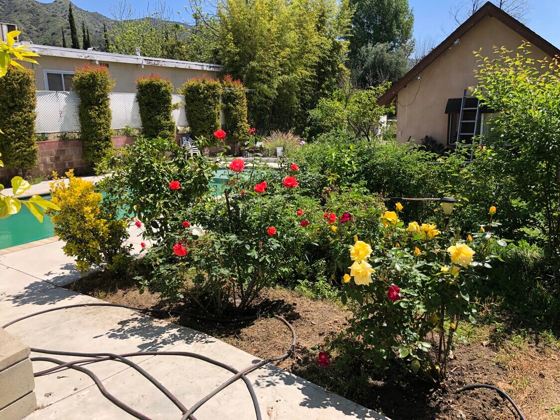 Backyard Garden view - 1054 E Providencia Ave