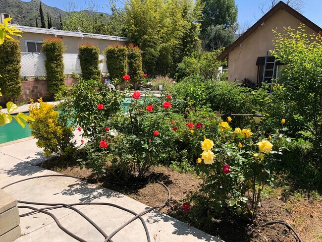 Building Photo - 1054 E Providencia Ave