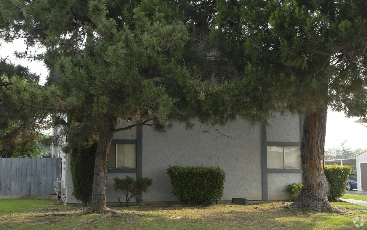 Foto del edificio - 1616 Sycamore Dr