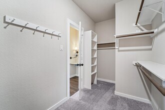 Building Photo - 15011 Red Buckeye Dr Building Photo - 15011 Red Buckeye Dr