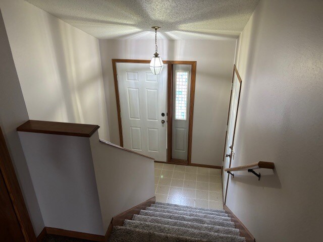 Foto del edificio - 127 Rosewood Ln S