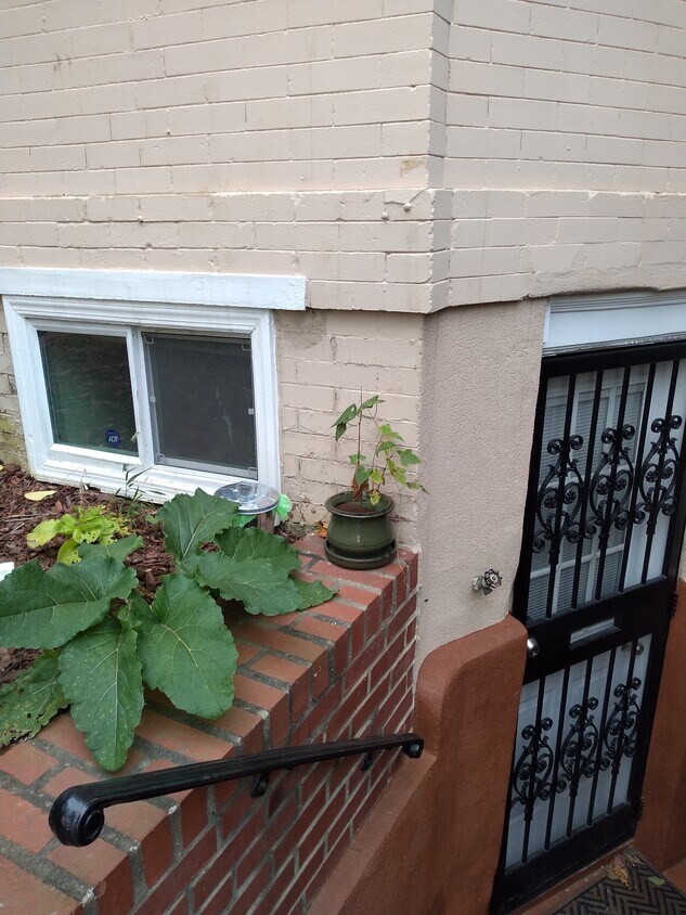 Primary Photo - 1119 I St NE