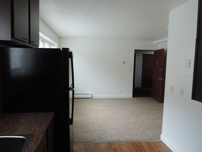 View of Living Room from Kitchen - 213 13th St SW