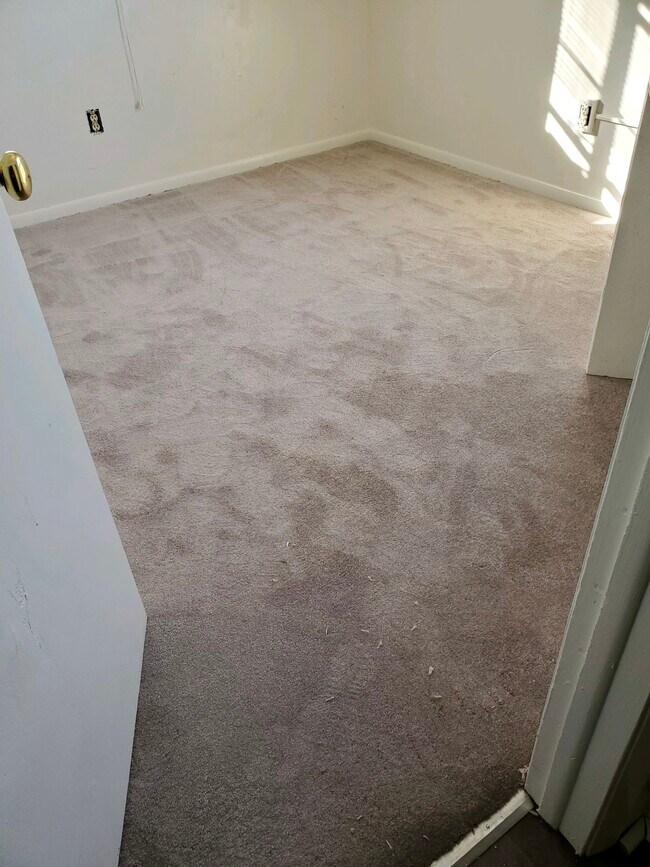 New carpet - 20 S Paul Laurence Dunbar St